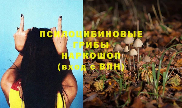 МДПВ Волоколамск