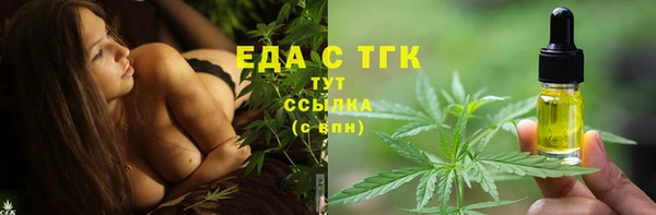 гашик Верея