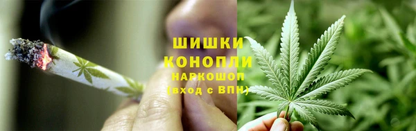гашик Верея