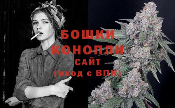 МДПВ Волоколамск