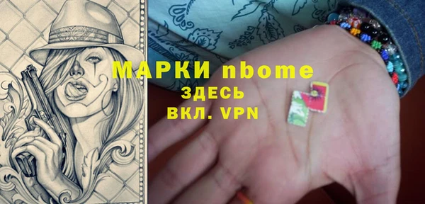 гашик Верея