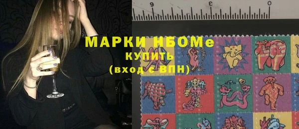 гашик Верея
