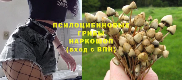 трава Верхний Тагил