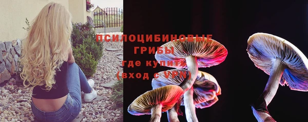 гашик Верея
