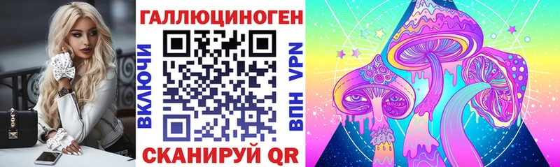купить наркотик  Славянск-на-Кубани  MEGA ссылка  Псилоцибиновые грибы Psilocybe 